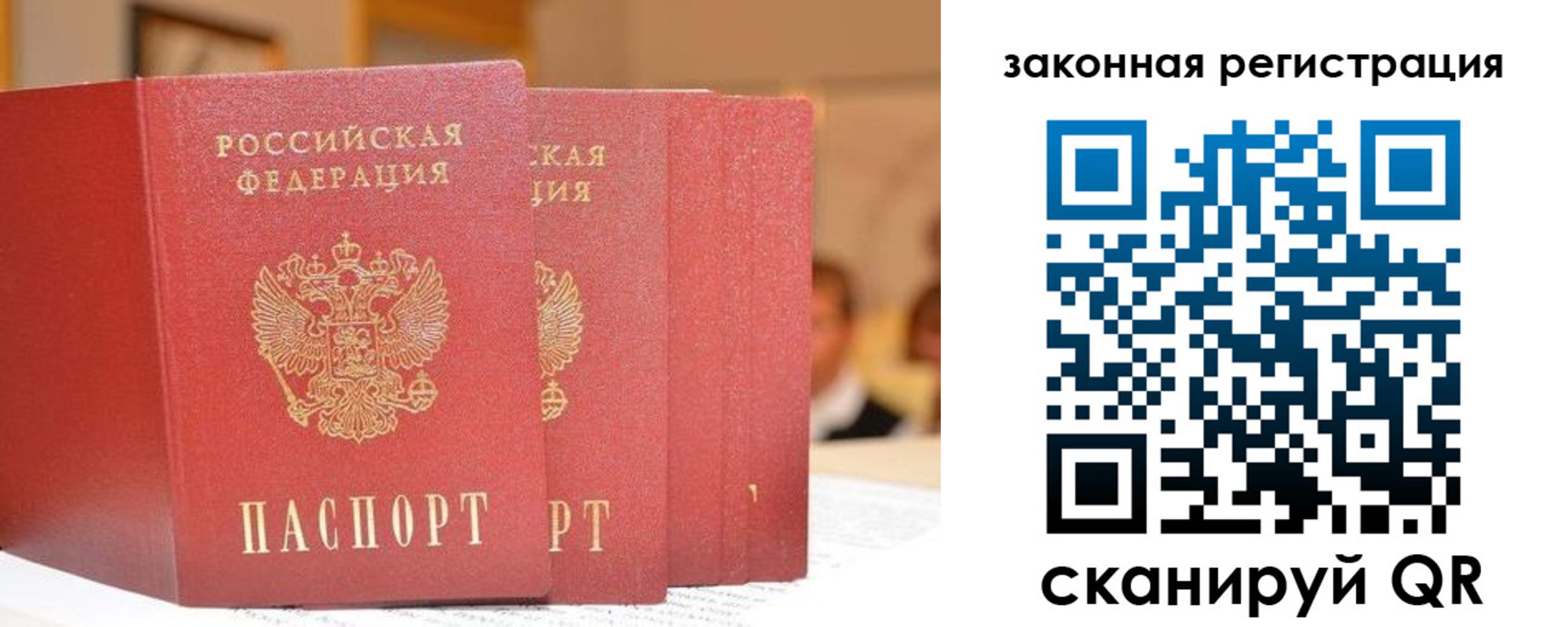 прописка поиск в Кольчугино